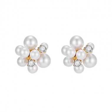 Celine Earrings