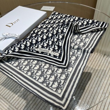Diortwin Obilque Large Scarf 