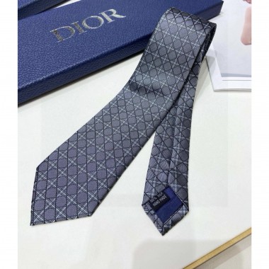 Dior Silk Neck Tie