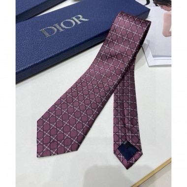Dior Silk Neck Tie