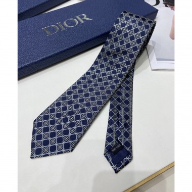 Dior Silk Neck Tie