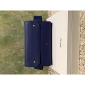 Celine Waist Pouchette 