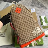 The North Face X Gucci backpack  