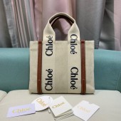 Chloe Borsa Shopping  Piccolo