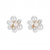 Celine Earrings