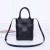 Bottega Veneta Mini Cassette Tote