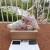 Dolce&Gabbana Shoe in Size 35-41