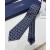 Dior Silk Neck Tie