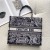 Christian Dior Large Book Tote 