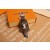 M68020 CLOCHE CLÉS KEY HOLDER
