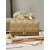 Lady Dior Top Handle Clutch 