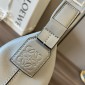 Loewe Small Cubi Messenger Bag 