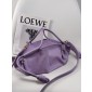 Loewe Small Paseo Bag 