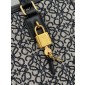 Loewe Amazona 23 in Embroidery and Calfskin 