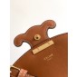 Celine Besace Cuir Triomphe in Canvas and Calfskin 