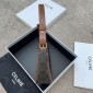Celine Ava Bag in Triomphe Canvas and Calfskin 