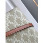Celine Triomphe Cabas Mini Bag
