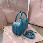 Miu Miu Arcadie leather bag