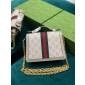 Ophidia GG mini Bag