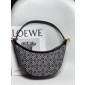 Loewe Small Luna in Emboridery and calfskin 