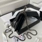 Chanel Clutch with Chain