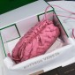  Bottega Veneta The pouch mini  