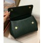 Authentic quality- Dolce Gabbana Medium Sicily Handbag in in iguana-print calfskin-Dark green