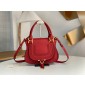 Chloe Mini Marcie Double Carry Bag