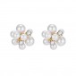 Celine Earrings