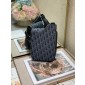  Dior oblique Saddle mini messenger 