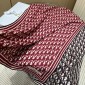 Diortwin Obilque Large Scarf 