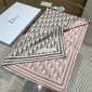Diortwin Obilque Large Scarf 