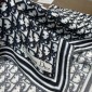 Diortwin Obilque Large Scarf 