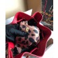 Dolce&Gabbana Borse in Pelle 