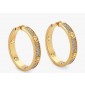 F is Fendi Earrings