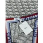 Dior Cashmere Shawl