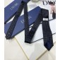 Dior Silk Neck Tie
