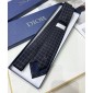 Dior Silk Neck Tie