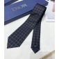 Dior Silk Neck Tie