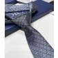 Dior Silk Neck Tie