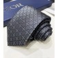 Dior Silk Neck Tie