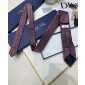 Dior Silk Neck Tie
