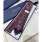 Dior Silk Neck Tie