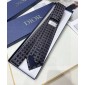 Dior Silk Neck Tie