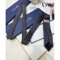 Dior Silk Neck Tie