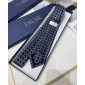 Dior Silk Neck Tie