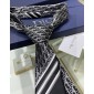 Dior Silk Neck Tie