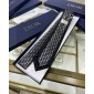 Dior Silk Neck Tie