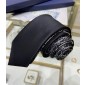 Dior Silk Neck Tie