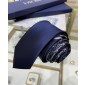 Dior Silk Neck Tie